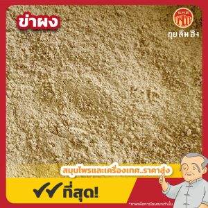 ข่าผง (Galangal) 高姜粉 ขนาด 1 กิโลกรัม
