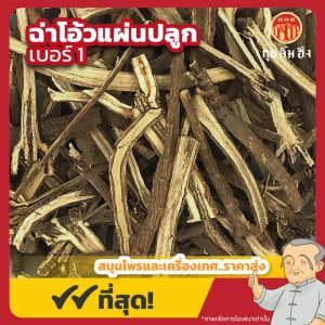 ฉ่าโอ้วแผ่น เบอร์ 1 (Bupleurum Root) 柴胡片 ขนาด 1 กิโลกรัม
