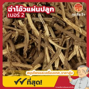 ฉ่าโอ้วแผ่น เบอร์ 2 (Bupleurum Root) 柴胡片 ขนาด 1 กิโลกรัม