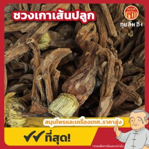 ชวงเกาเส้นปลูก 秦艽条 ขนาด 1 กิโลกรัม