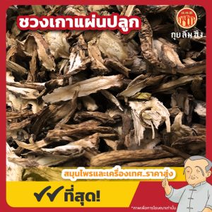 ชวงเกาแผ่นปลูก 秦艽片 ขนาด 1 กิโลกรัม