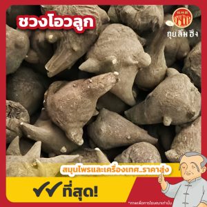 ชวงโอวลูก 川乌 ขนาด 1 กิโลกรัม