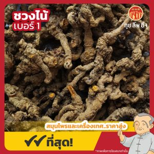 ชวงไน้ เบอร์ 1 (Coptis Rhizome) 黄莲 ขนาด 1 กิโลกรัม