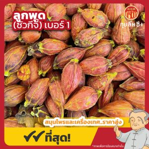 ลูกพุด เบอร์ 1 เม็ดพุด (ซัวกีจี้) 山栀子 ขนาด 1 กิโลกรัม