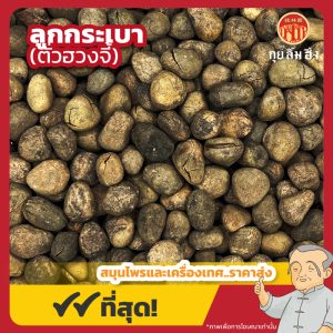 ลูกกระเบา (ตั่วฮวงจี้) 大风子 ขนาด 1 กิโลกรัม