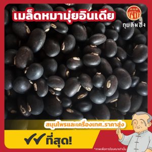 เมล็ดหมามุ่ยอินเดีย (Velvet Bean) 刺毛黧豆 ขนาด 1 กิโลกรัม