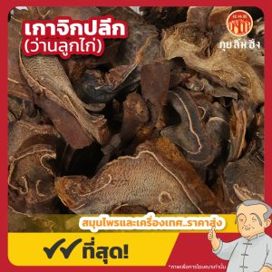 เกาจิกปลีก (ว่านลูกไก่) 狗脊片 ขนาด 1 กิโลกรัม