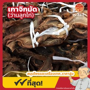 เกาจิกมัด (ว่านลูกไก่) 狗脊 ขนาด 1 กิโลกรัม