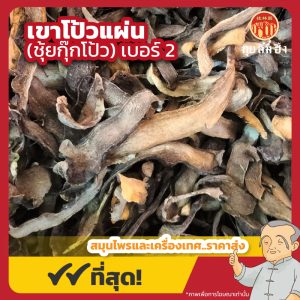 เขาโป้วแผ่น เบอร์ 2 (ชุ้ยกุ๊กโป้ว) 碎骨補 ขนาด 1 กิโลกรัม