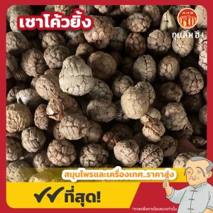 เชาโค้วยิ้ง (Katsumadai Galangal Seed) 草叩仁 ขนาด 1 กิโลกรัม