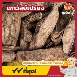 เถาวัลย์เปรียง (Jewel Vine) ขนาด 1 กิโลกรัม