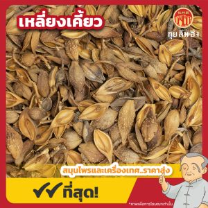 เหลี่ยงเคี้ยว (Forsythia Fruit) 连翘 ขนาด 1 กิโลกรัม
