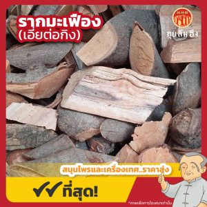 รากมะเฟือง (เอี่ยต่อกิง) 杨桃根 ขนาด 1 กิโลกรัม