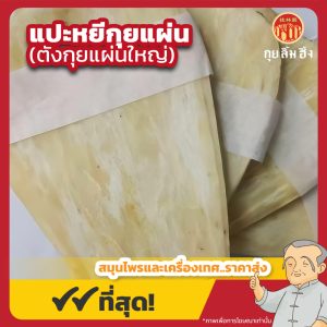 แปะยี่กุยแผ่น (ตังกุยแผ่นใหญ่) 白二归片 ขนาด 600 กรัม