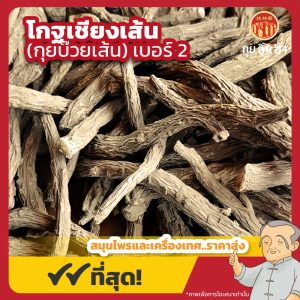 โกฐเชียงเส้น เบอร์ 2 (กุยบ๊วยเส้น) 当归尾 ขนาด 1 กิโลกรัม