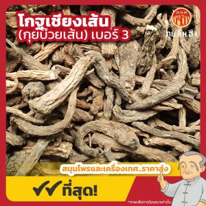 โกฐเชียงเส้น เบอร์ 3 (กุยบ๊วยเส้น) 当归尾 ขนาด 1 กิโลกรัม