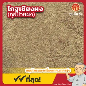 โกฐเชียงผง (กุยบ๊วยผง) 当归尾粉 ขนาด 1 กิโลกรัม