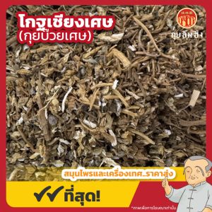 โกฐเชียงเศษ (กุยบ๊วยเศษ) 当归尾碎 ขนาด 1 กิโลกรัม