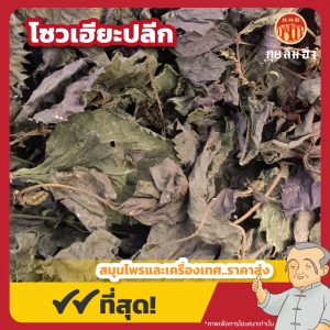 โซวเฮียะปลีก (จี่โซวเฮียะ) 紫苏叶 ขนาด 500 กรัม