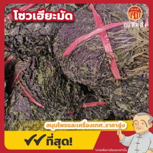 โซวเฮียะมัด (จี่โซวเฮียะ) 紫苏叶 ขนาด 1 กิโลกรัม
