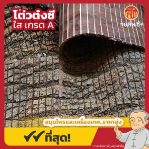 โต่วต๋งซี ใส เกรด A 杜仲丝 ขนาด 600 กรัม
