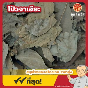 โป้วจาเฮียะ 布渣叶 ขนาด 1 กิโลกรัม