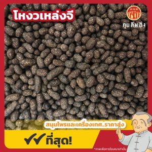 โหงวเหล่งจี 五灵脂 ขนาด 1 กิโลกรัม