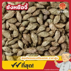ชังหยือจี้ (Xanthium Fruit) 苍耳子 ขนาด 1 กิโลกรัม