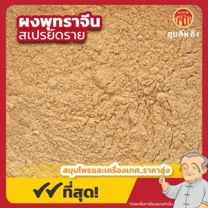 ผงพุทราจีน สเปรย์ดราย Chinese Jujube Powder (Spray Dried) ขนาด 500 กรัม