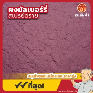 ผงมัลเบอร์รี่ สเปรย์ดราย Mulberry Powder (Spray Dried) ขนาด 500 กรัม