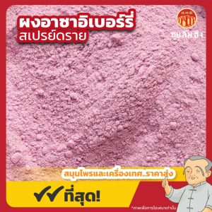 ผงอาซาอิเบอร์รี่ สเปรย์ดราย Acai Berry Powder (Spray Dried) ขนาด 250 กรัม
