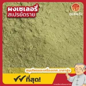 ผงเซเลอรี่ สเปรย์ดราย Celery Powder (Spray Dried) ขนาด 250 กรัม
