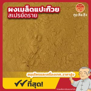 ผงเมล็ดแปะก๊วย สเปรย์ดราย Ginkgo Seed Powder (Spray Dried) ขนาด 500 กรัม