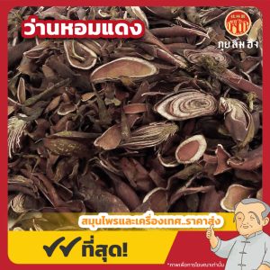 ว่านหอมแดง (Dayak Onion) 独角丝茅 ขนาด 1 กิโลกรัม