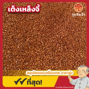 เต็งเหล็งจี้ (Pepperweed Seed) 葶苈子 ขนาด 1 กิโลกรัม