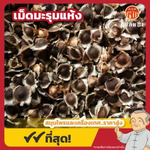เม็ดมะรุมแห้ง (Moringa Seed) 辣木籽 ขนาด 500 กรัม