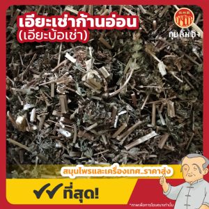 เอียะเช่าก้านอ่อน (เอียะบ้อเช่า) 益母草 ขนาด 1 กิโลกรัม