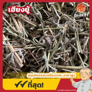 เฮียงยู้ (Elsholtzia Herb) 香薷 ขนาด 1 กิโลกรัม