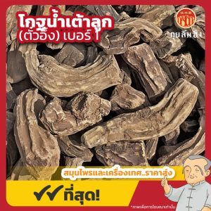 โกฐน้ำเต้าลูก เบอร์ 1 (ตั๋วอึ้ง) 大黄 ขนาด 1 กิโลกรัม