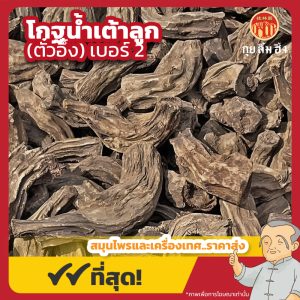 โกฐน้ำเต้าลูก เบอร์ 2 (ตั๋วอึ้ง) 大黄 ขนาด 1 กิโลกรัม