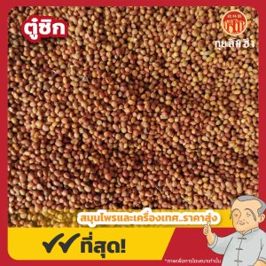 ตู๋ซิก (Paper Mulberry Fruit) 楮实子 ขนาด 1 กิโลกรัม